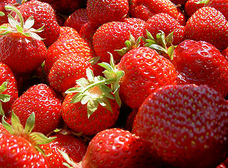 Erdbeeren, W. J. Pilsak, CC BY-SA
